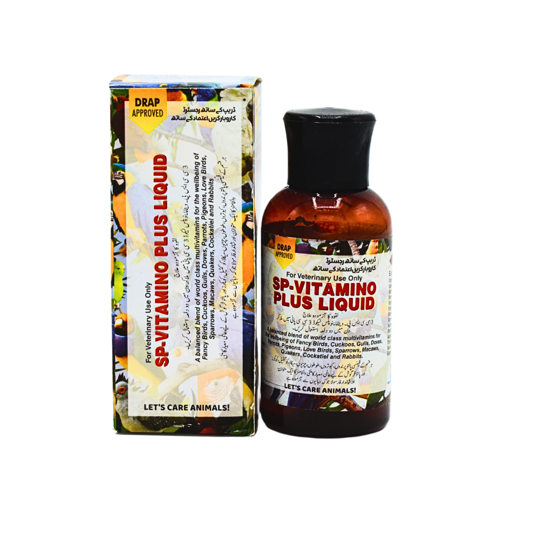 sp white background (3)